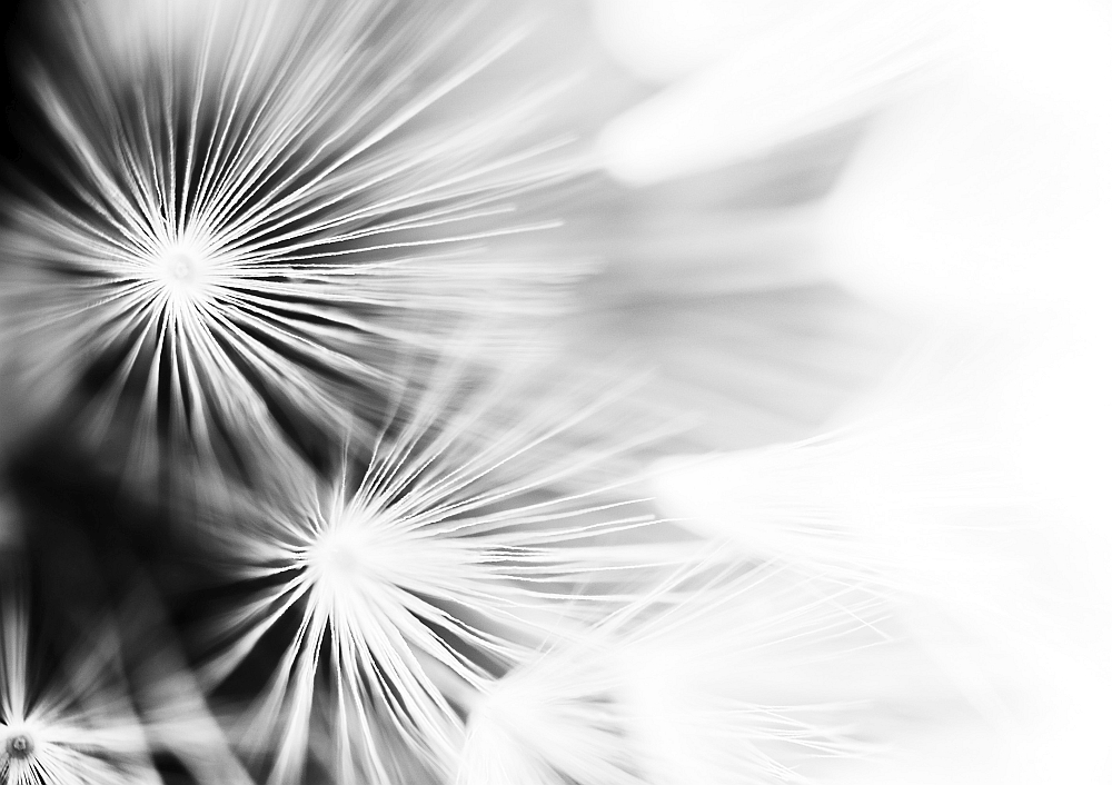 7. Platz Johann Kerler